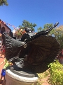 Kids_SanAntonio_8-2017 (135)